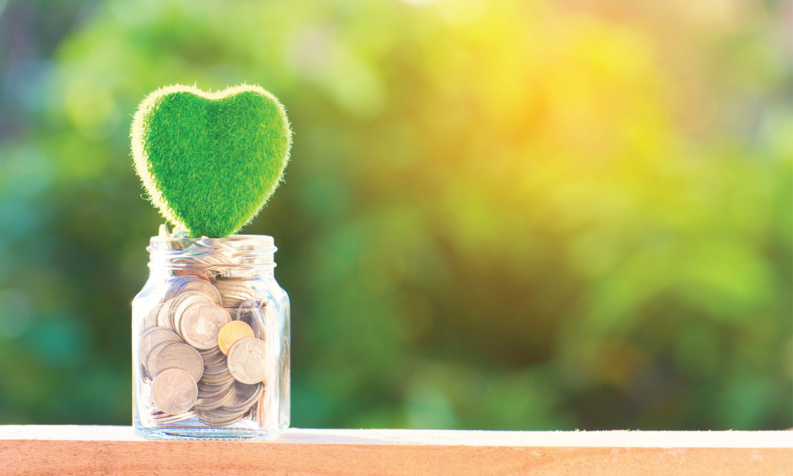 Health of Your Wealth Aug'23