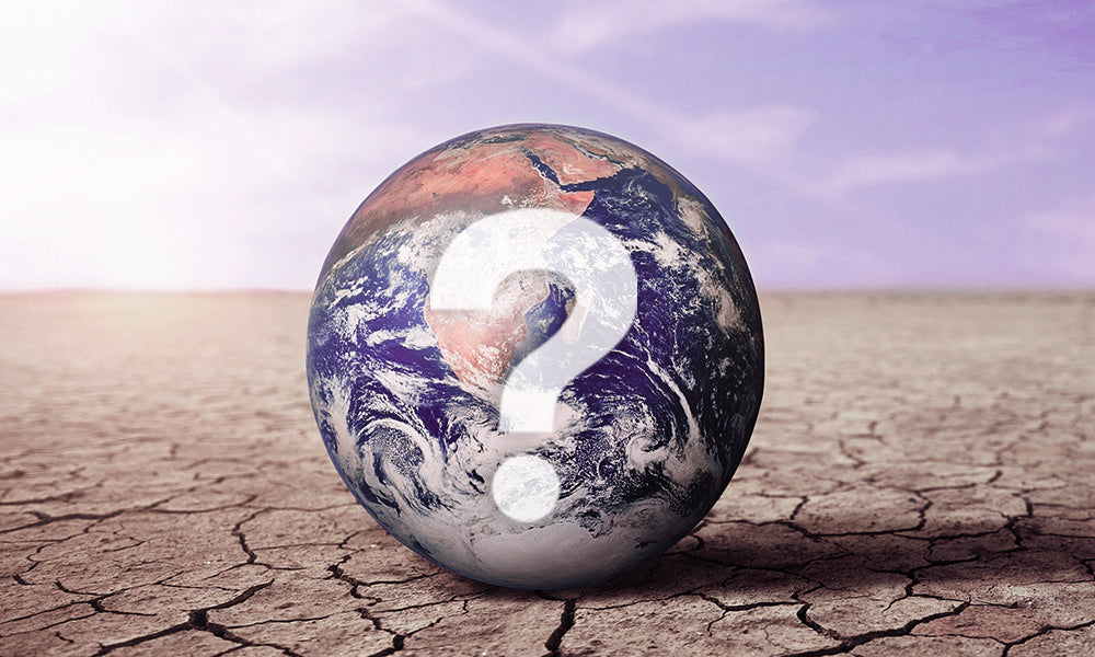 SIIF – A Perspective on the Global Economy