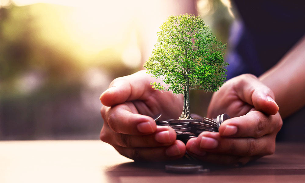 Health of your Wealth Jan '22