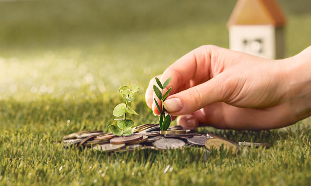 Health of your Wealth Dec '21